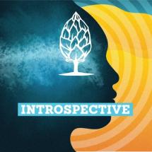 Beer Tree Introspective 4pk Cn (4 pack 16oz cans) (4 pack 16oz cans)