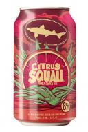 Dogfish Head - Citrus Squall (62)